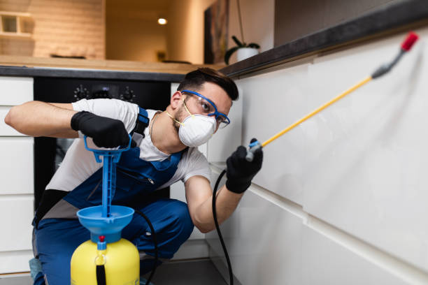 Best Best Pest Control Companies  in Farr West, UT