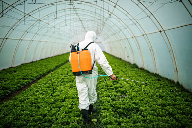 Best Mosquito Control Services  in Farr West, UT