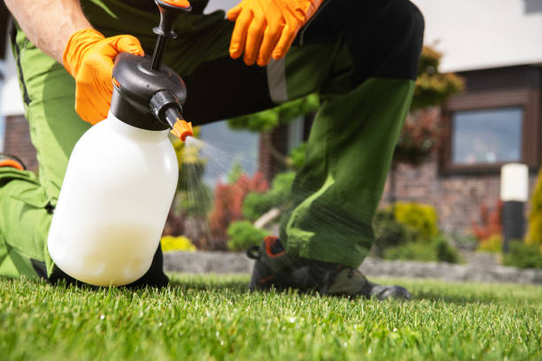 Best Residential Pest Control  in Farr West, UT