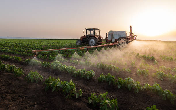 Best Commercial Pest Control Services  in Farr West, UT