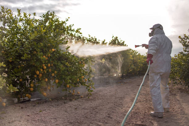 Best Affordable Pest Control Services  in Farr West, UT