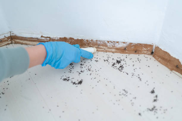 Best Emergency Pest Control  in Farr West, UT
