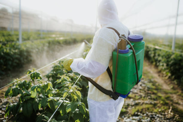 Best Pest Inspection Near Me  in Farr West, UT